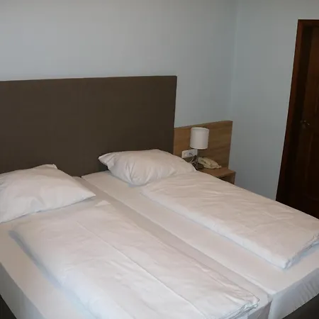 Goldene Traube Golling an der Salzach